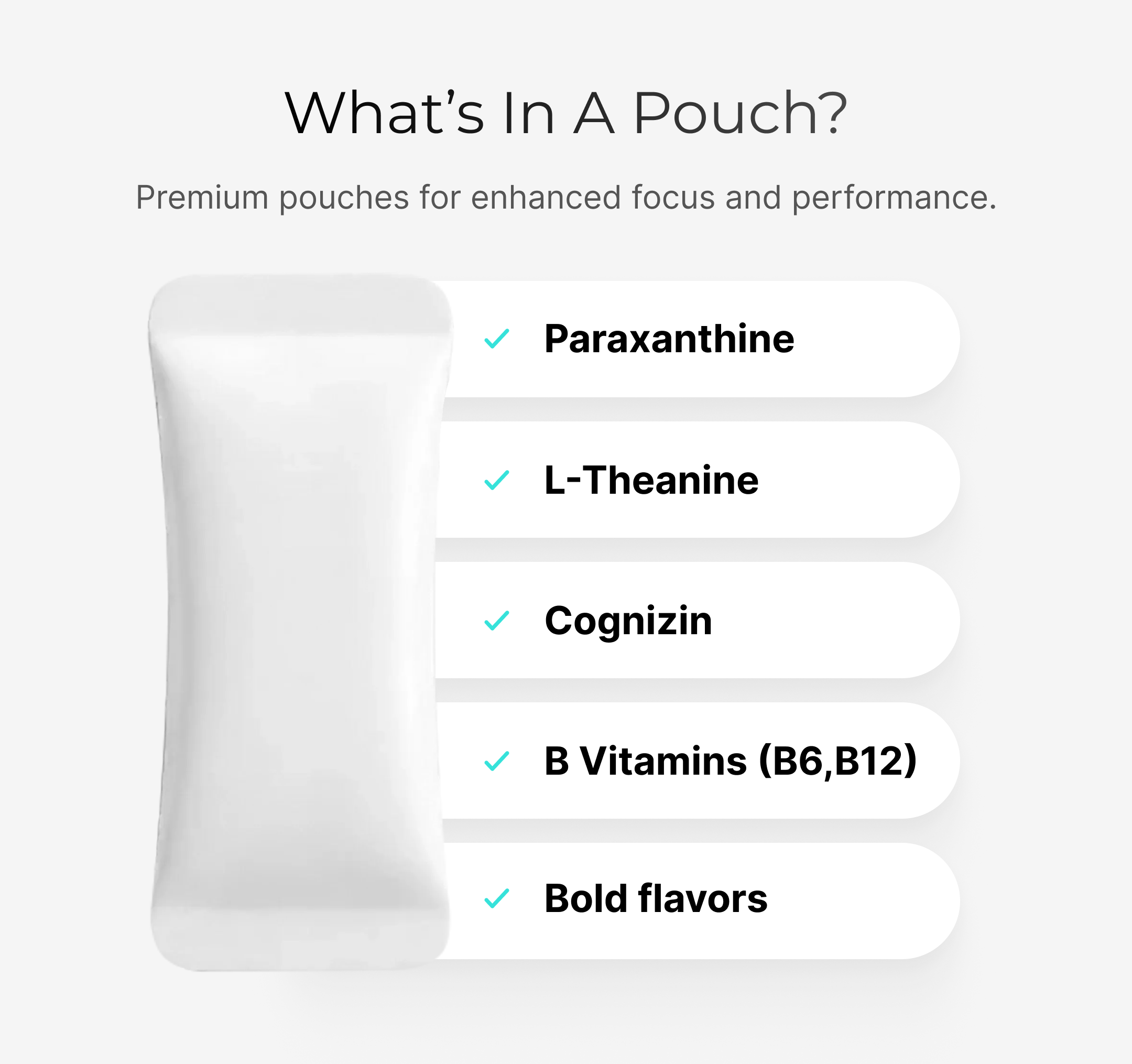 IQ Smart Pouch